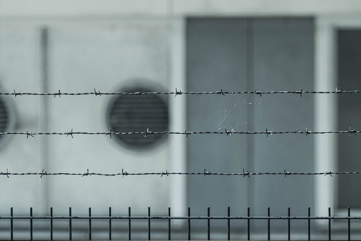 爸爸，我能幫你坐牢嗎？