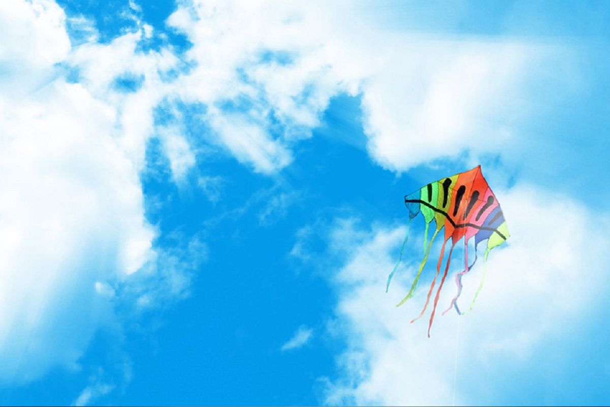 感謝財團法人感恩社會福利基金會贊助本會