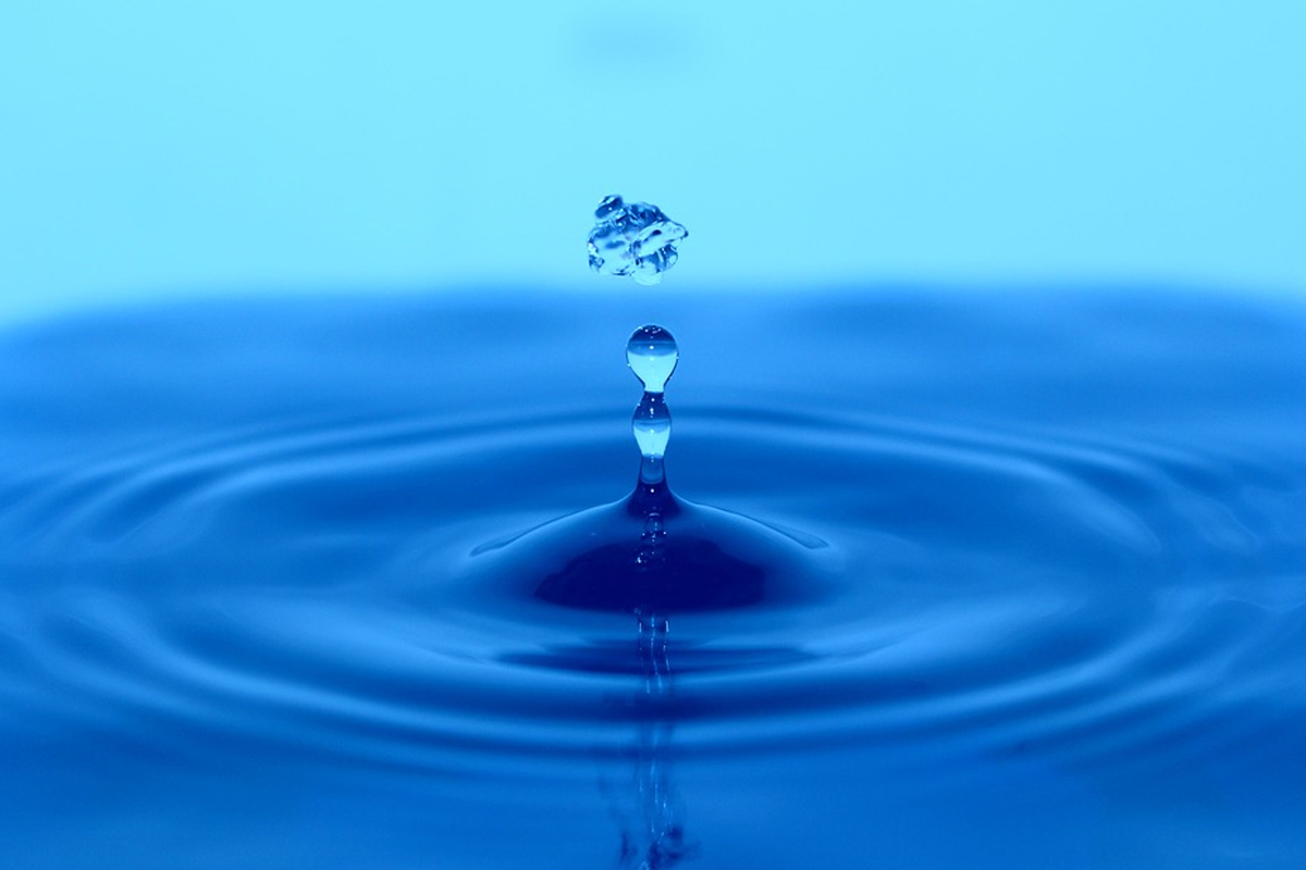 本會榮獲2018年第四屆傳善獎