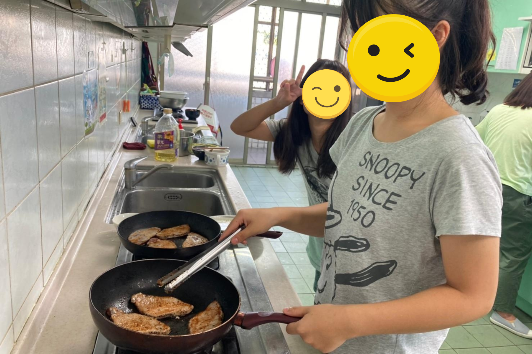 安置機構大觀園