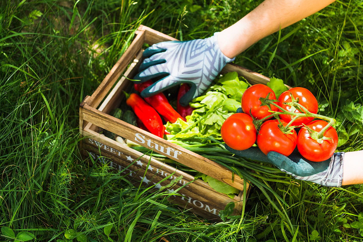 本會社企參加勞動部年度展售活動