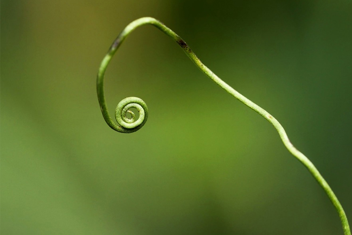 給自己最後一次機會
